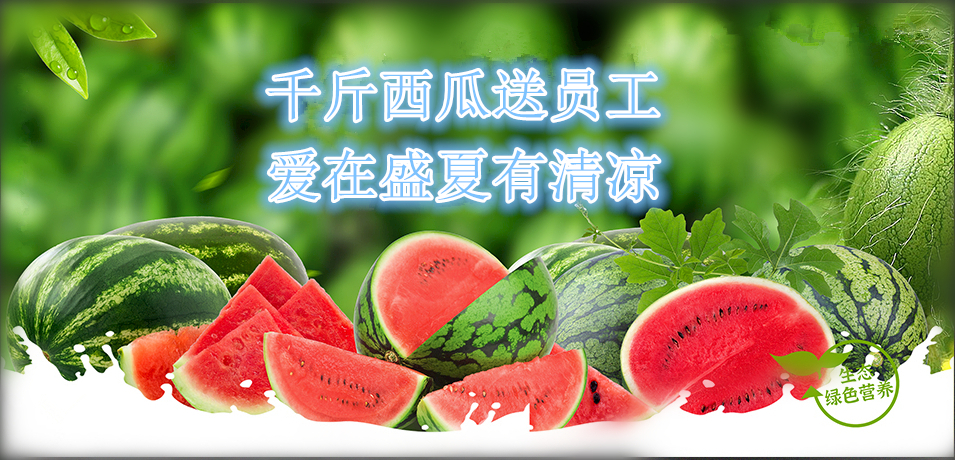 通達(dá)軟件公司： 千斤西瓜送員工，愛在盛夏有清涼